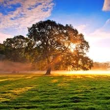 Sanjaya Mataram avatar